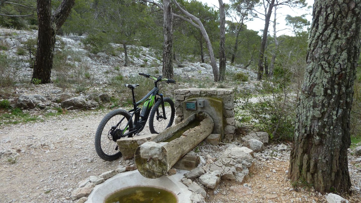 faron_complet_avril_2018_071.JPG