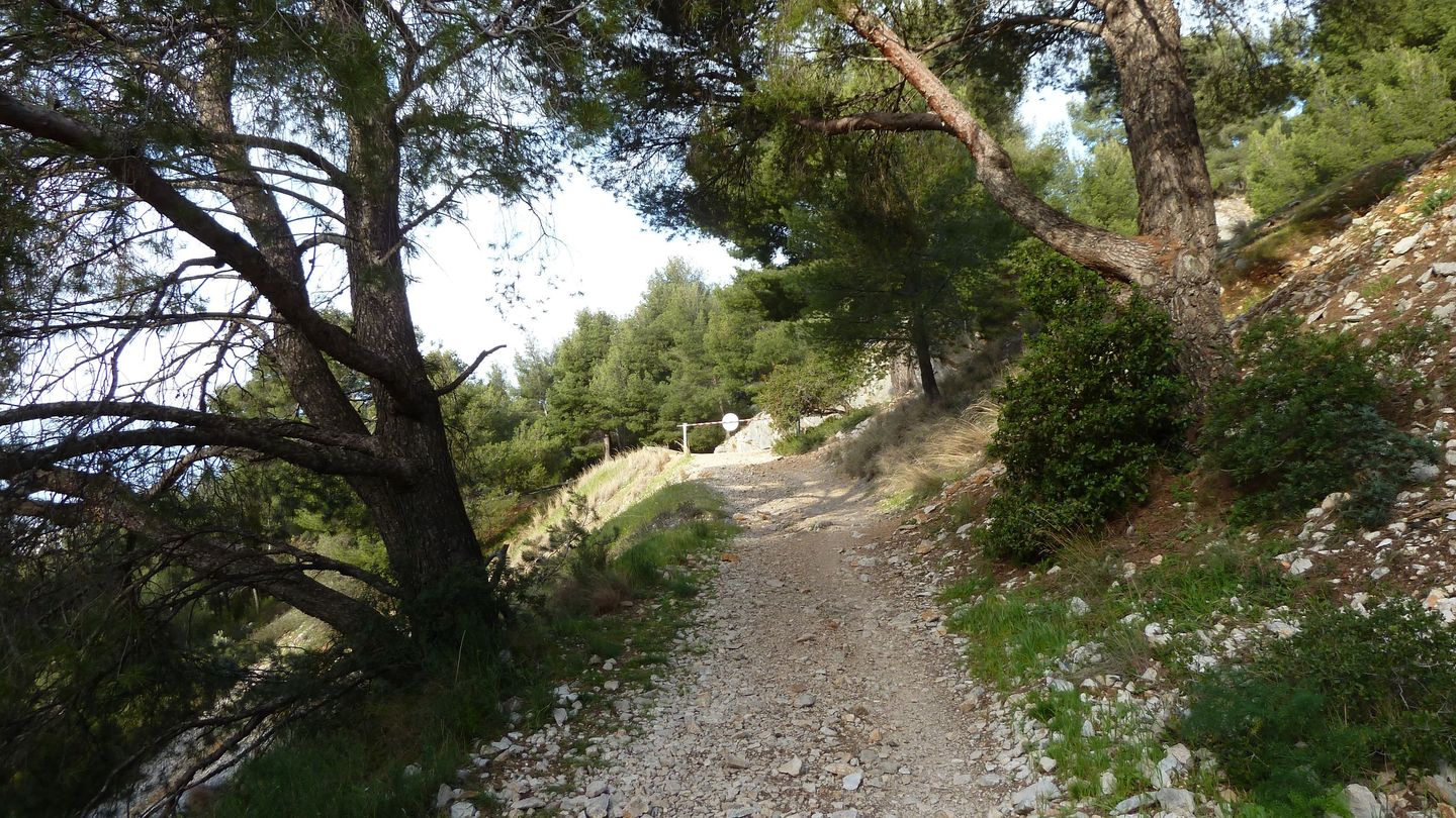faron_complet_avril_2018_09.JPG