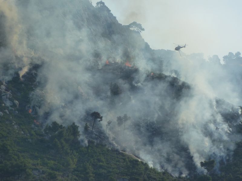 feu_faron_juillet_2011_03.JPG