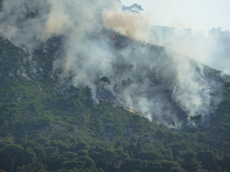 feu_faron_juillet_2011_04.JPG