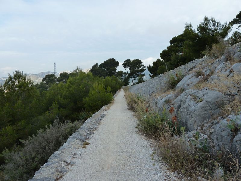 faron_juin_2011_001_1.jpg