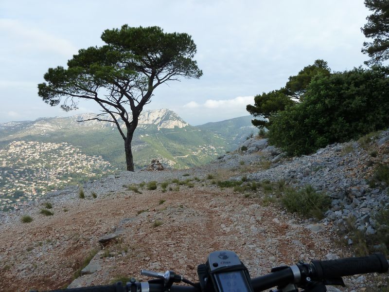 faron_juin_2011_004_1.jpg