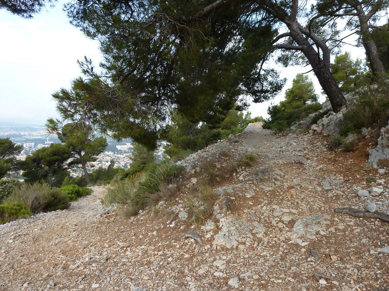 faron_juin_2011_006_1.jpg