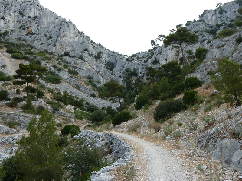 faron_juin_2011_009_1.jpg