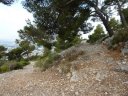 faron_juin_2011_006_1.jpg