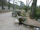 faron_juin_2011_011_1.jpg
