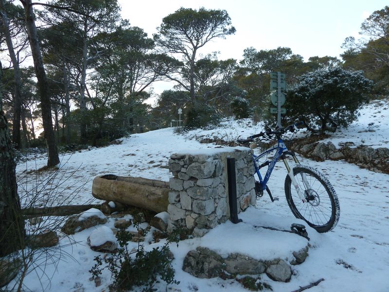 faron_fev_2012_018.jpg