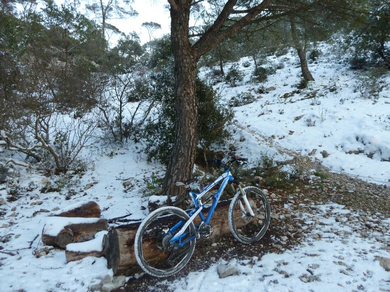 faron_fev_2012_020.jpg