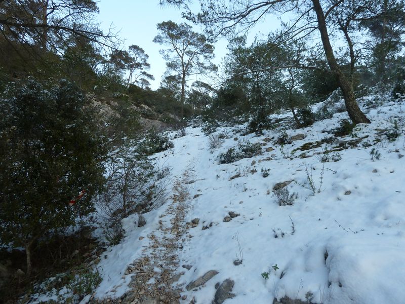 faron_fev_2012_022.jpg