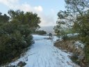 faron_fev_2012_006.jpg