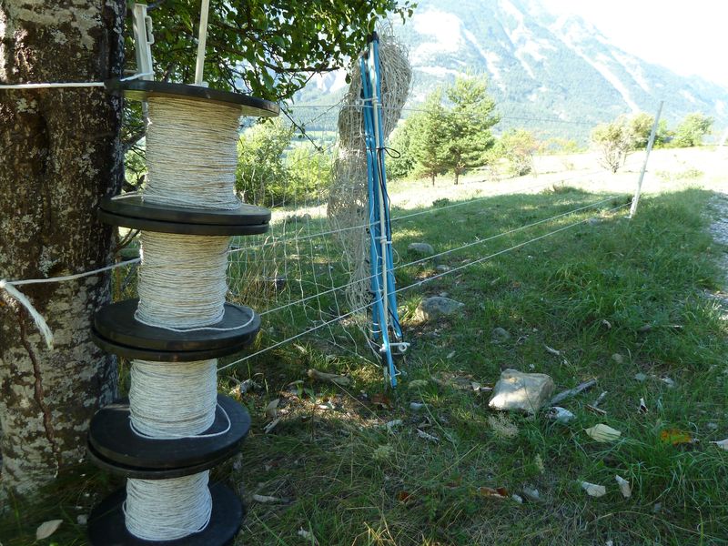 font_blanche_2011_035.jpg
