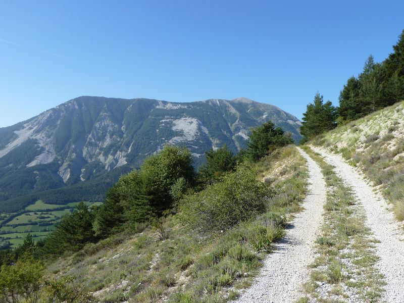 font_blanche_2011_053.jpg