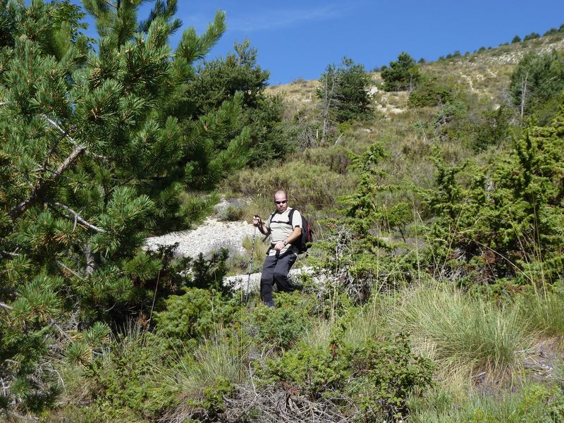 font_blanche_2011_077.jpg