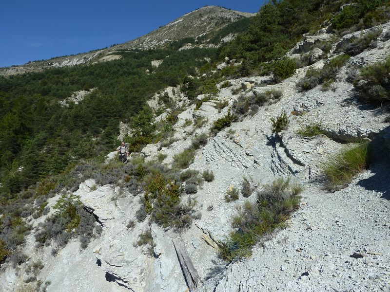 font_blanche_2011_087.jpg