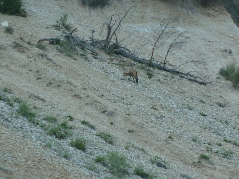 fontanil_2011_001.jpg