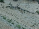 fontanil_2011_001.jpg