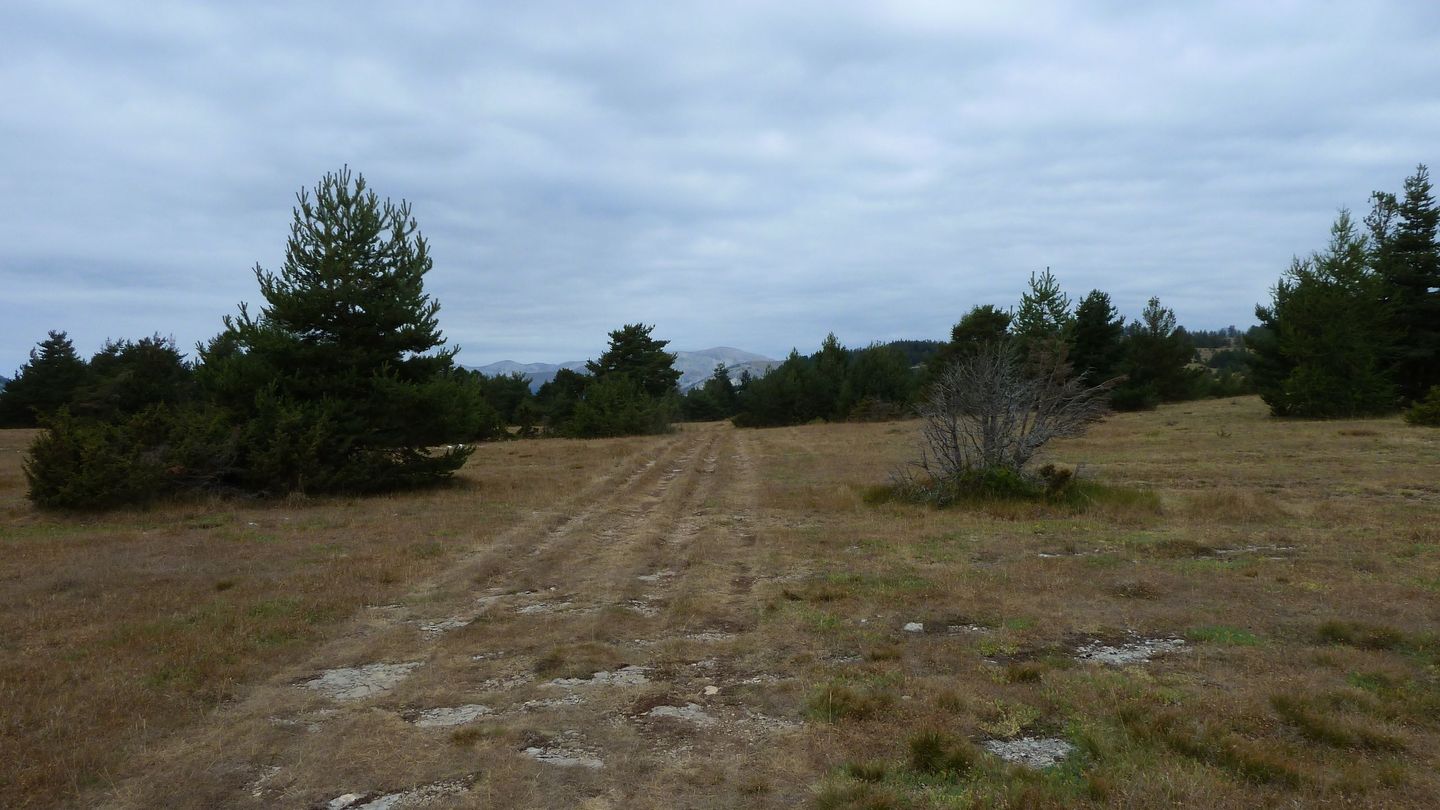 P1010983.JPG