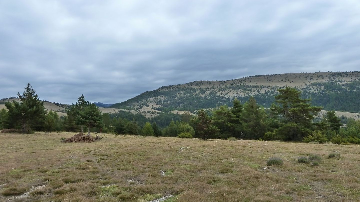 P1010984.JPG