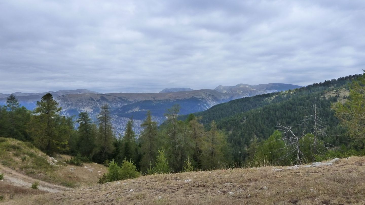 P1010990.JPG