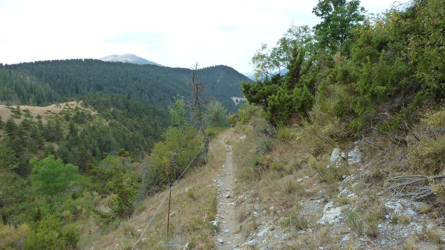 P1010996.JPG