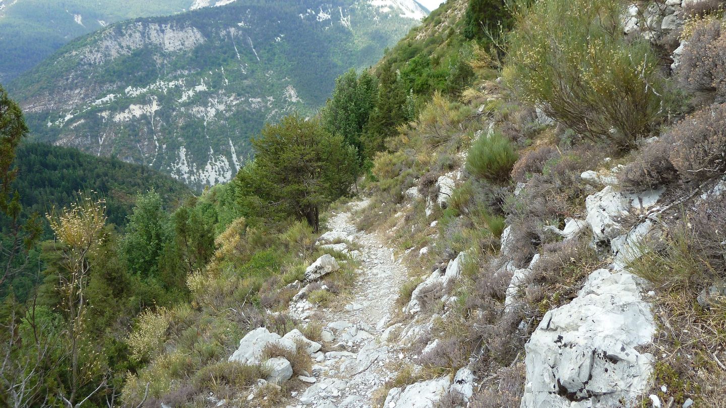 P1020001.JPG
