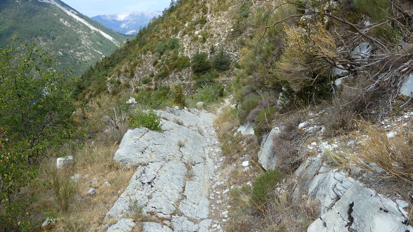 P1020003.JPG