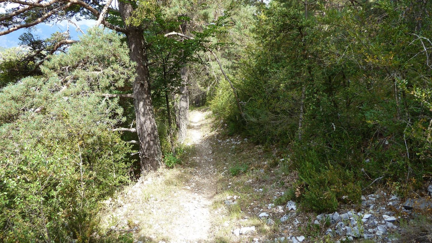 P1020004.JPG