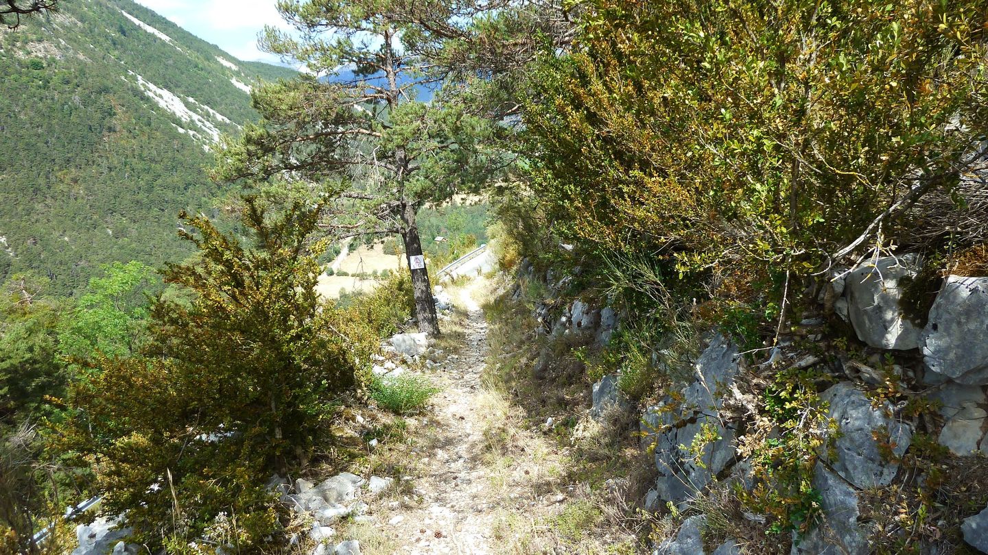 P1020005.JPG