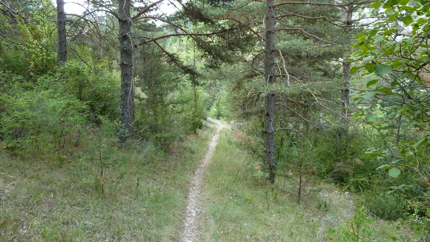 P1020008.JPG