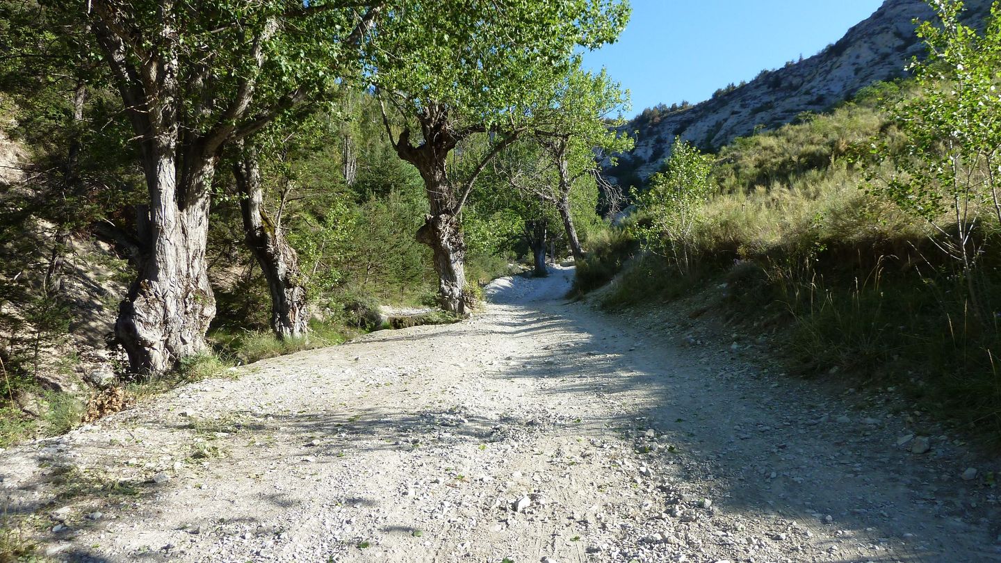 cab_fontblanche_2017_013.JPG