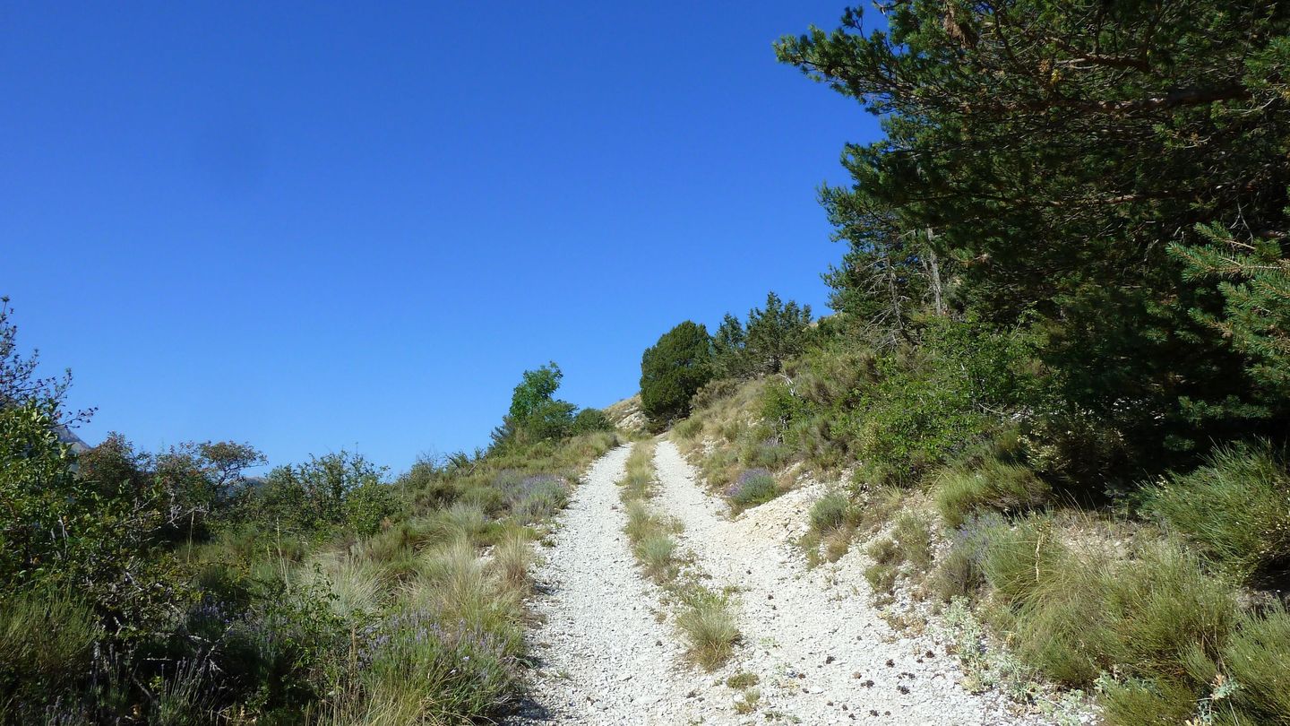 cab_fontblanche_2017_046.JPG