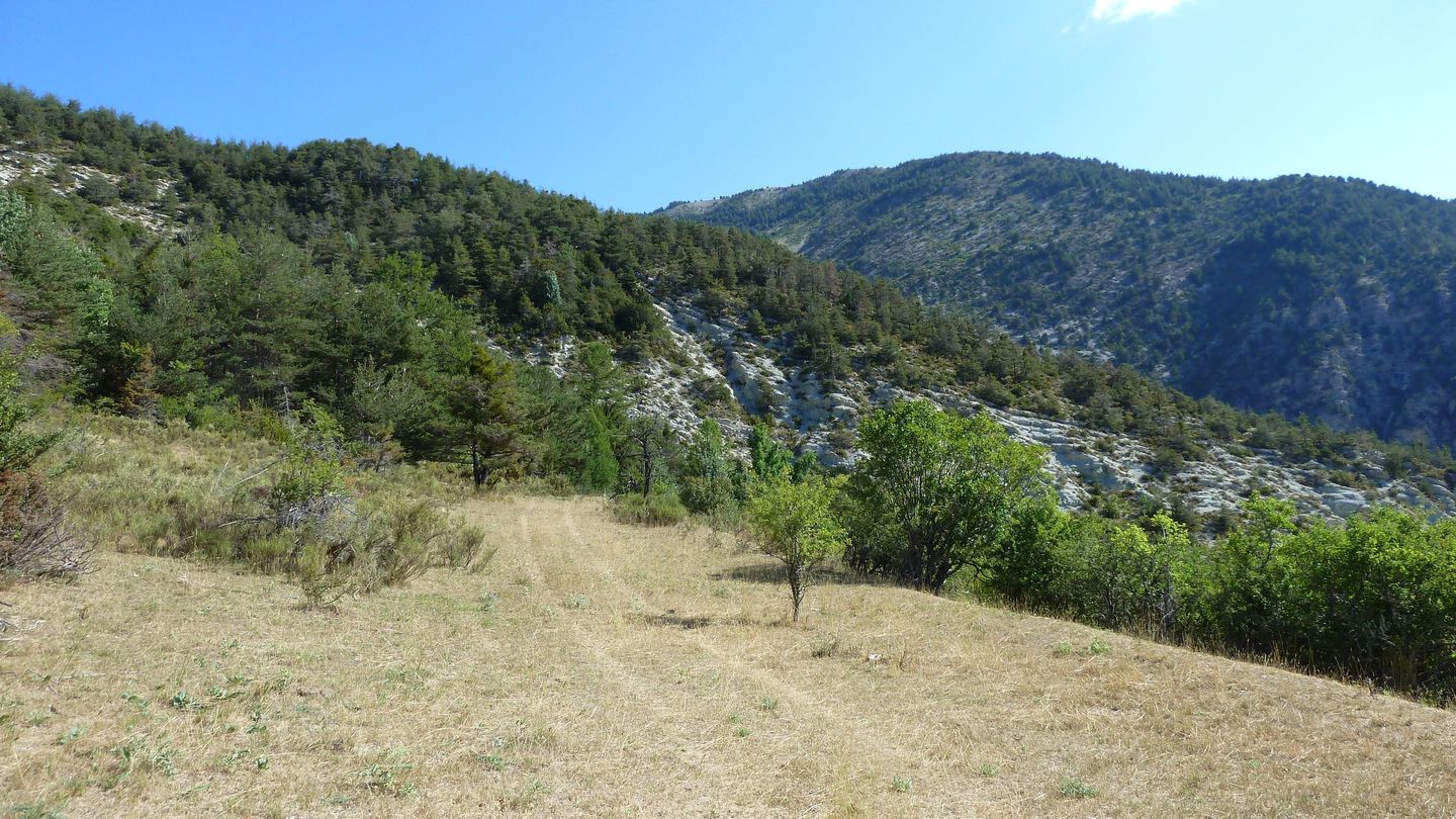 cab_fontblanche_2017_058.JPG