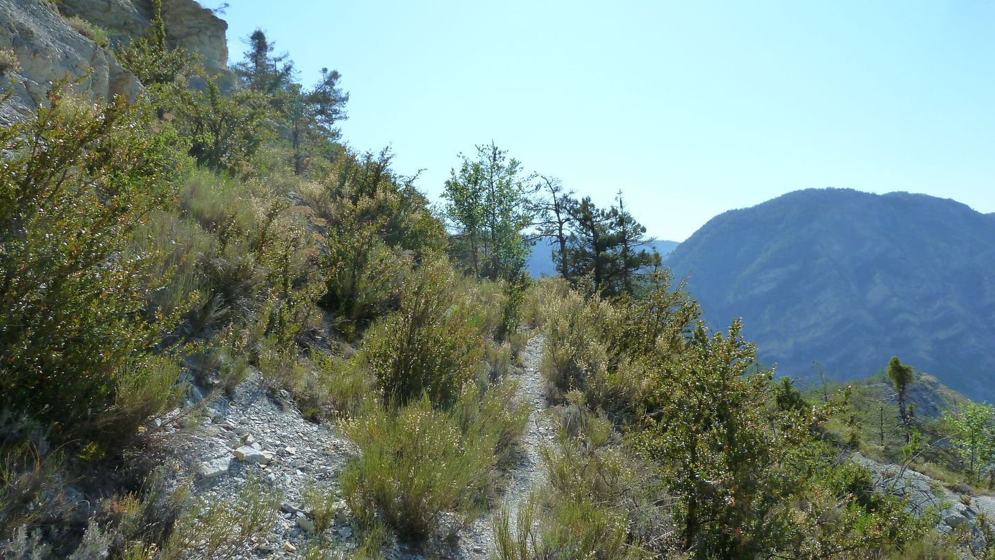 cab_fontblanche_2017_061.JPG