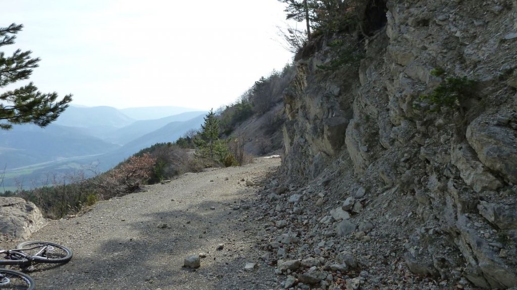 foret_dom_des_barres_avril_2013_070.jpg