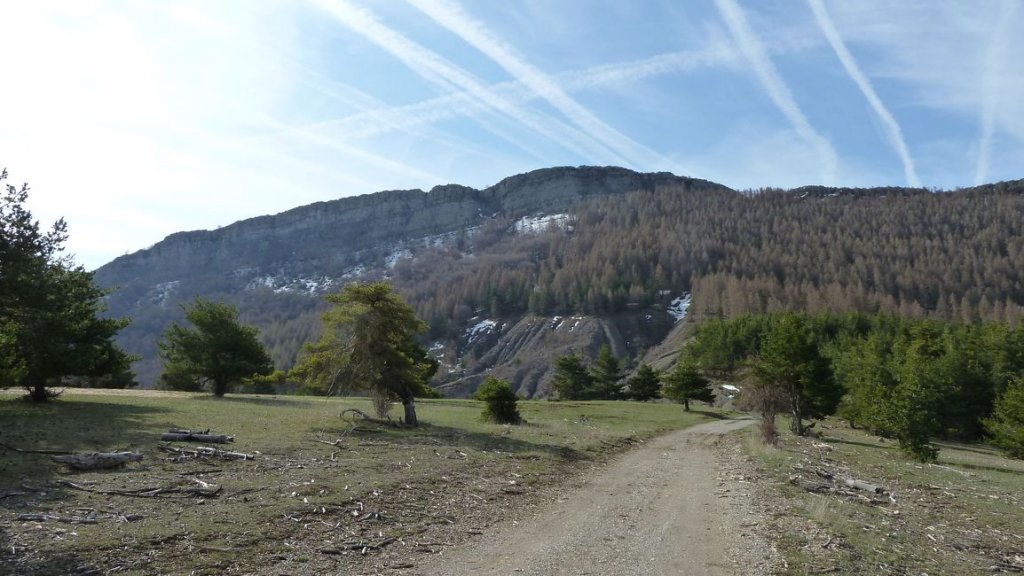 foret_dom_des_barres_avril_2013_078.jpg