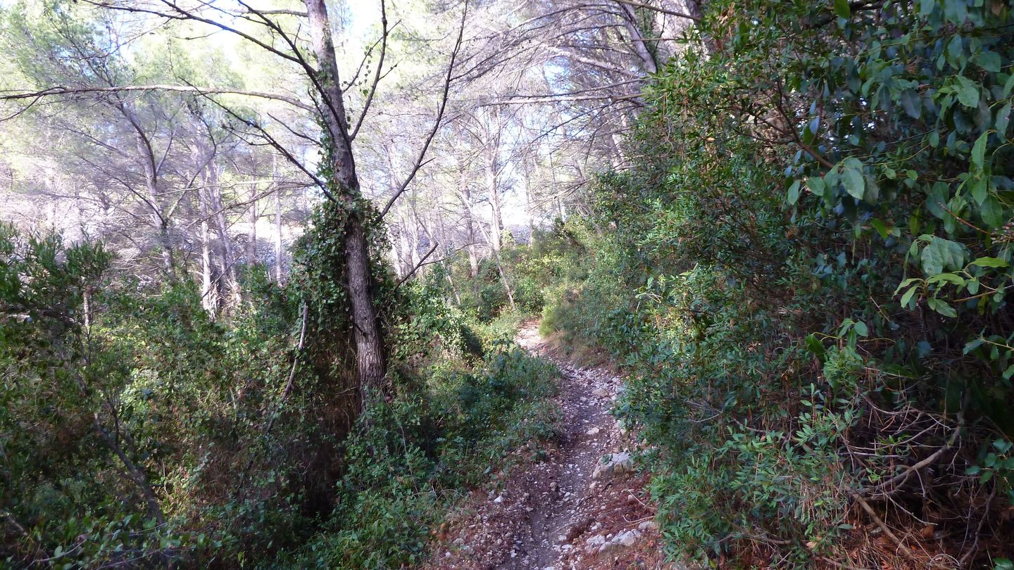 mont_faron_sept_2017_17.JPG