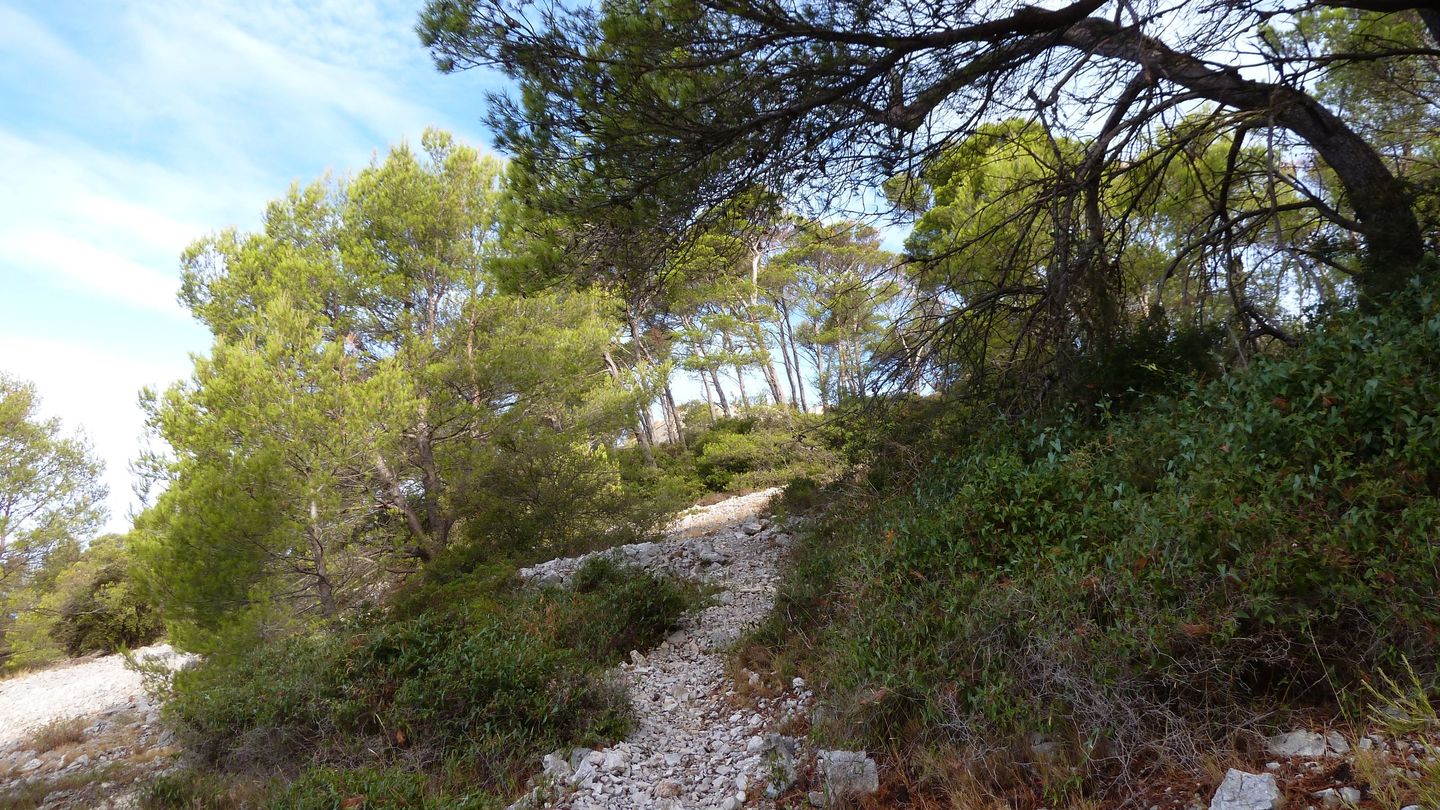 mont_faron_sept_2017_25.JPG