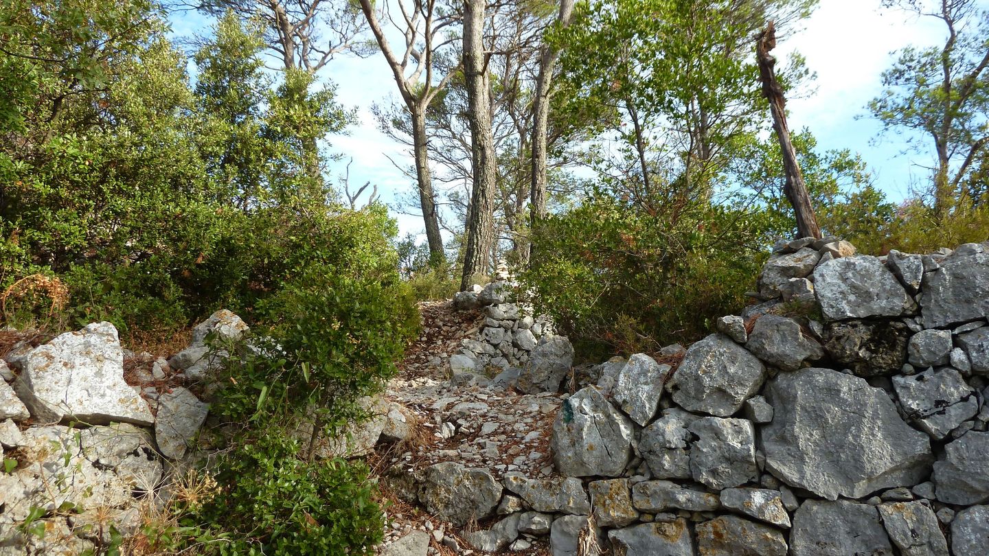 mont_faron_sept_2017_28.JPG