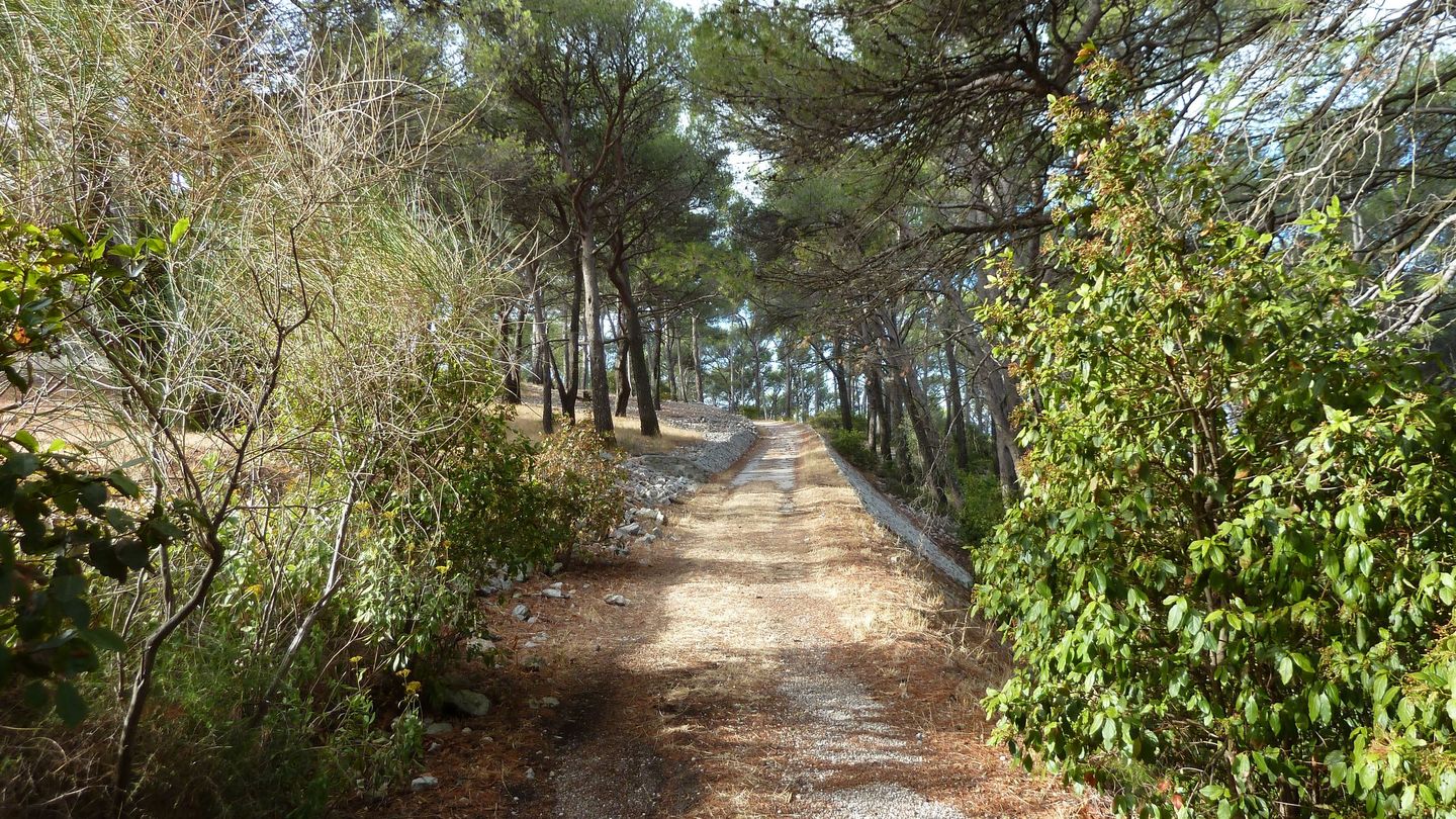 mont_faron_sept_2017_46.JPG