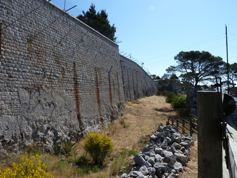 forts_faron_2011_32_1.jpg