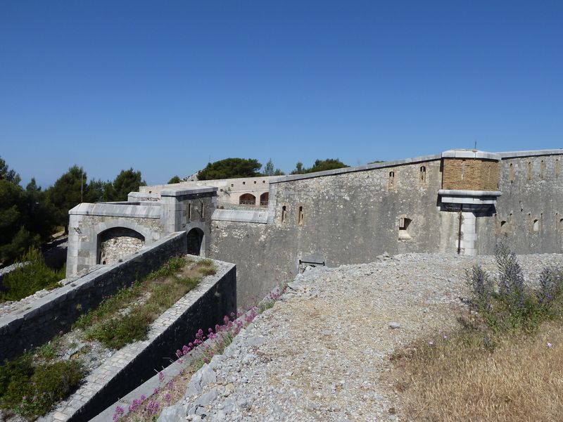 forts_faron_2011_52_1.jpg