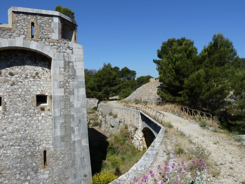 forts_faron_2011_54_1.jpg