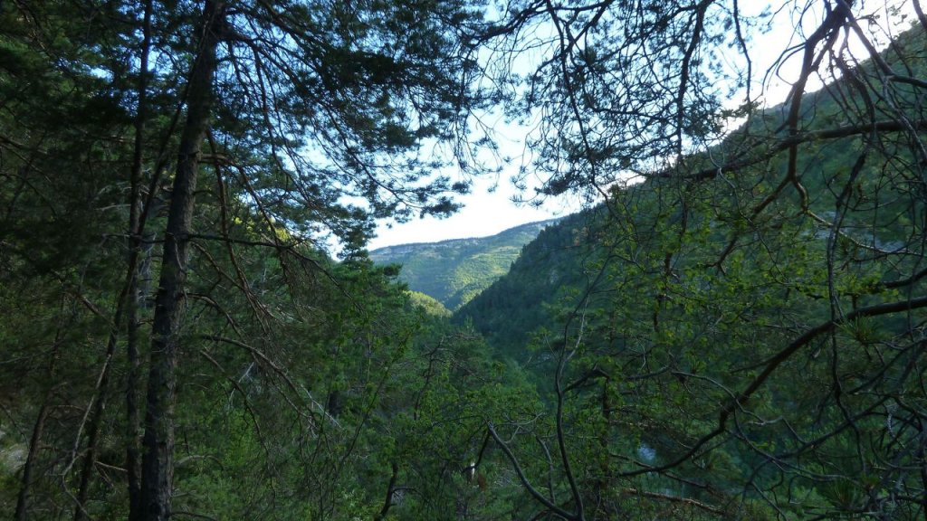 gare_peyresq_juillet_2016_067.JPG