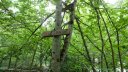 gare_peyresq_juillet_2016_041.JPG