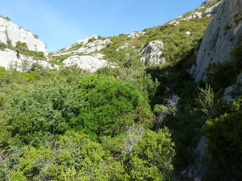 garlaban_jacques_mai_2012_058.jpg