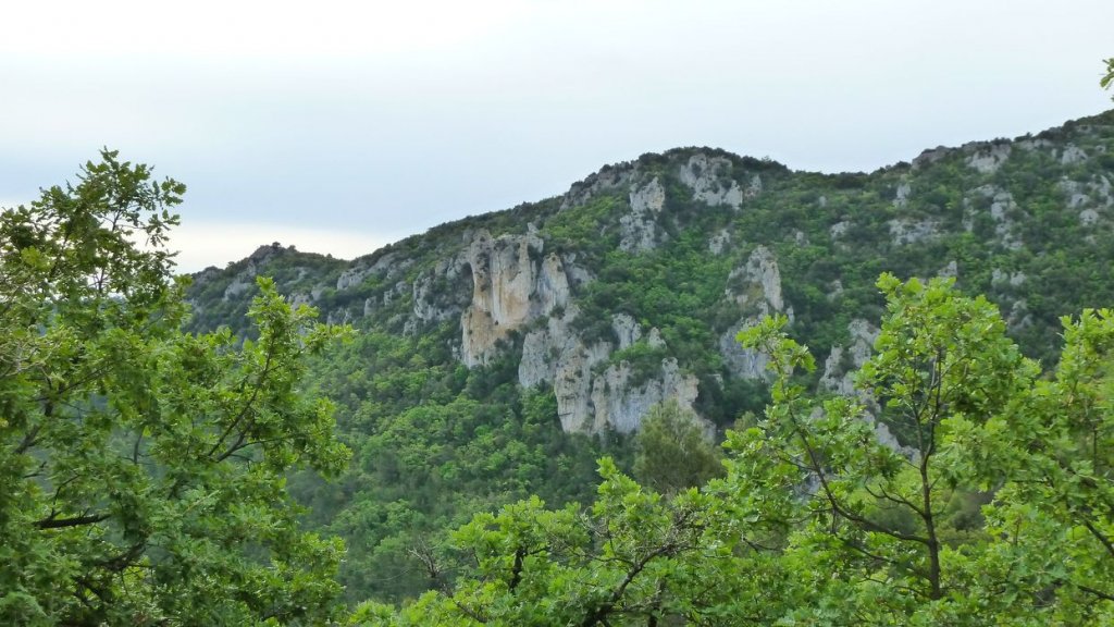 glaciere_pivaut_2014_08.jpg