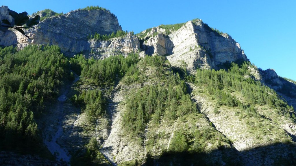 P1000919.JPG