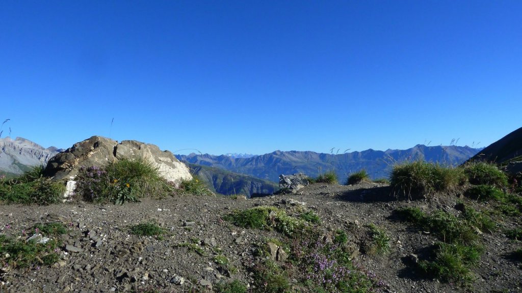 grand_cheval_de_bois_juillet_2016_017.JPG