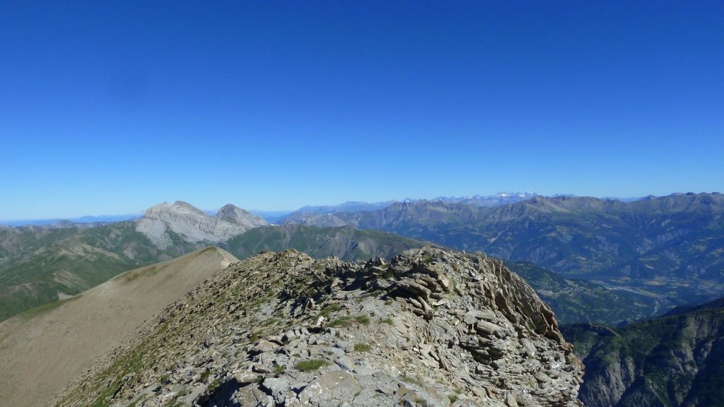 grand_cheval_de_bois_juillet_2016_077.JPG