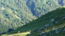 grand_cheval_de_bois_juillet_2016_021.JPG